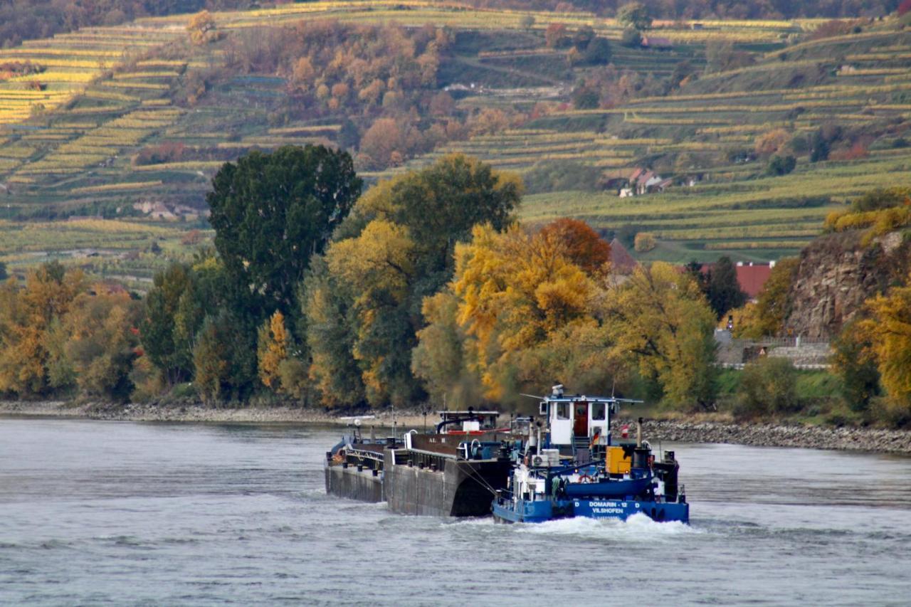 Haus-Donau In Der Wachau Apartment Aggsbach Luaran gambar