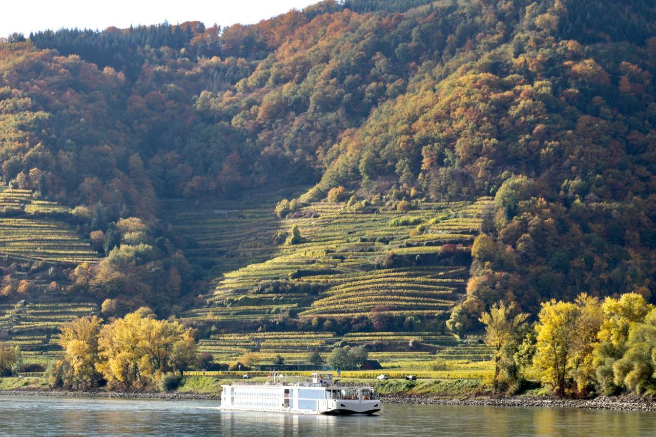 Haus-Donau In Der Wachau Apartment Aggsbach Luaran gambar