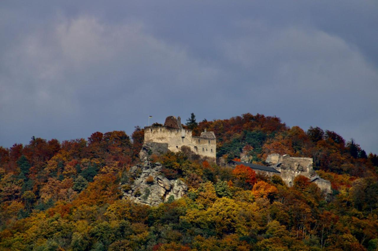 Haus-Donau In Der Wachau Apartment Aggsbach Luaran gambar